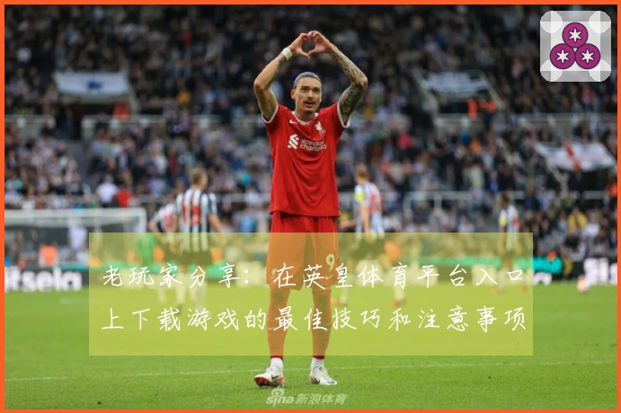 老玩家分享：在英皇体育平台入口上下载游戏的最佳技巧和注意事项